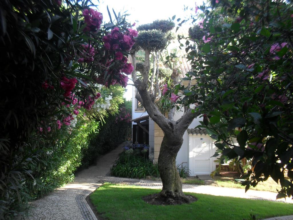 Luzmar Villas Exteriér fotografie